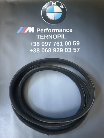 Уплотнитель двери передней, на (кузове) 51727182270 BMW