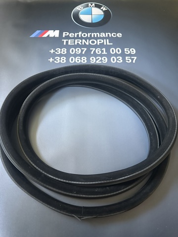 BMW 51727182270 Уплотнитель двери передней (на кузове) в наличии Полтава