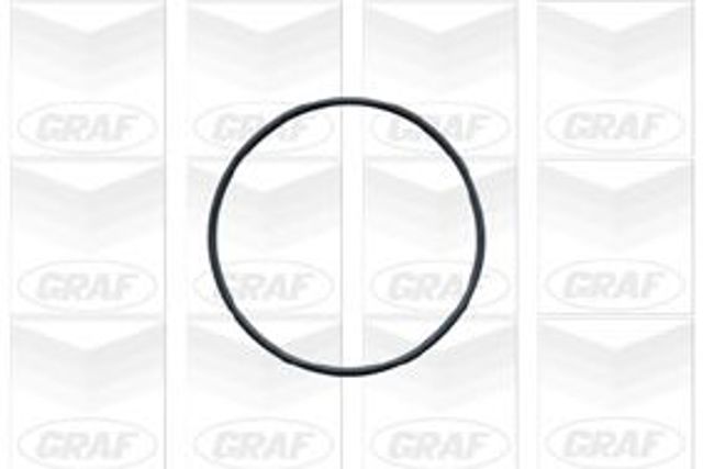 Водяной насос PA541 GRAF