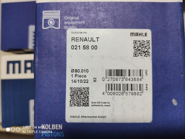 Поршень в сборе 0215800 MAHLE