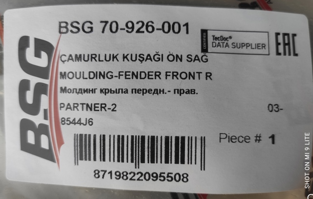Накладка переднего правого крыла BSG70926001 BSG