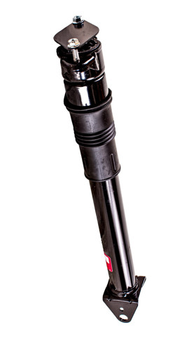 G99846 TASHIKO Амортизатор задний купить в Киев