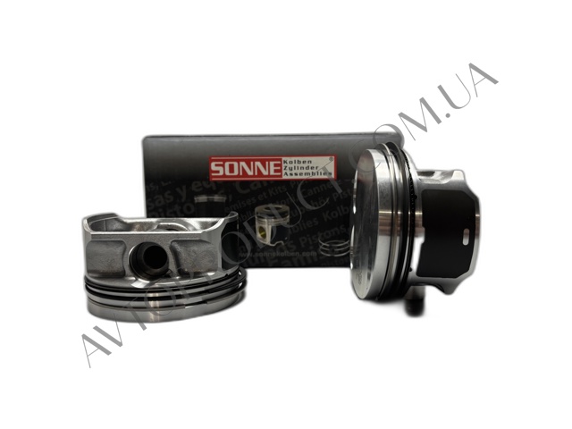 Поршень в сборе 0831200 MAHLE