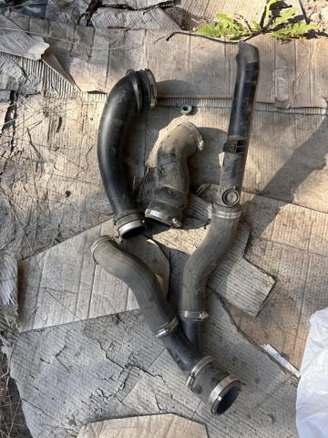 Шланг/патрубок интеркуллера L1MZ6F073B FORD