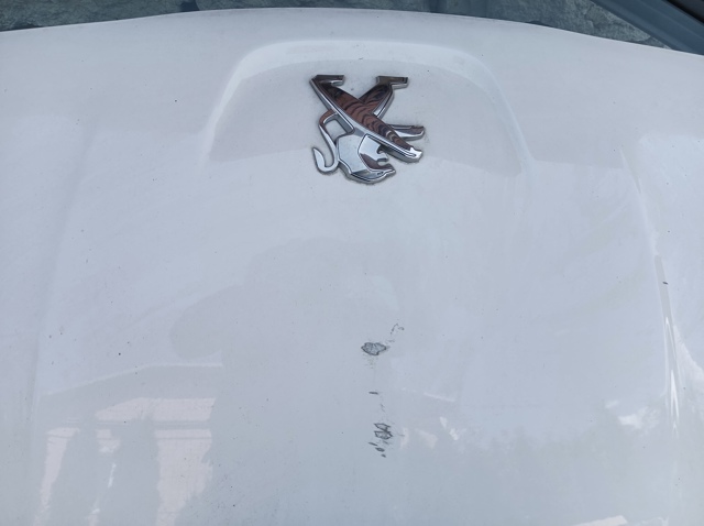 7901S3 PEUGEOT Капот купить в Украина