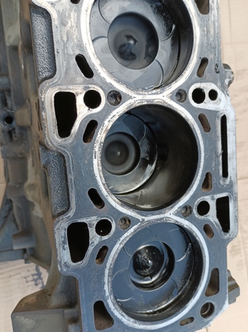 955A3000 FIAT Двигатель в сборе купить в Кривой Рог