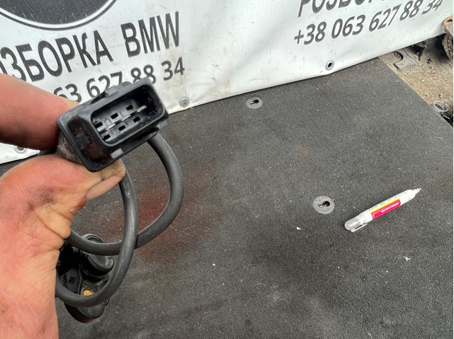 12141438081 BMW Датчик положения распредвала купить в Сумы