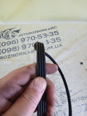 VAG 06M260849L Ремень генератора в наличии Кривой Рог
