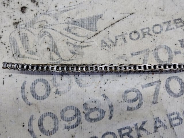 11318631842 Цепь ГРМ купить Запорожье