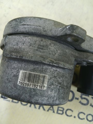 119555CA0B Натяжитель приводного ремня купить Житомир