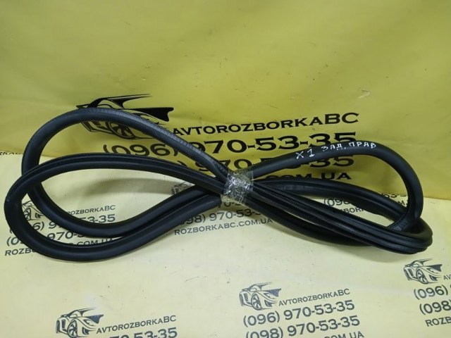 Прокладка двери задней, (на двери) 51727440034 BMW