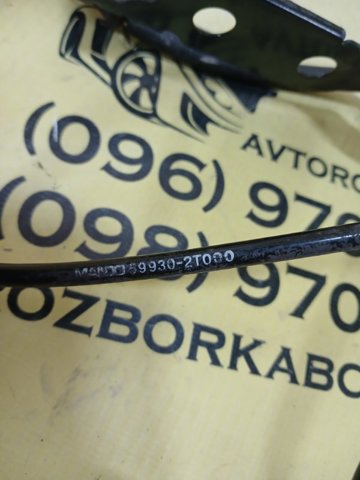 599302T000 Датчик АБС (ABS) задний правый купить Ровно