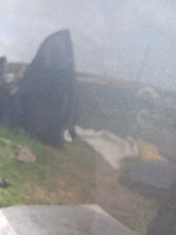 821006CA0A NISSAN купить в Днепр