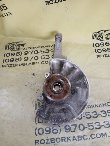 A1663301020 Цапфа (поворотный кулак) передний правый купить Днепр