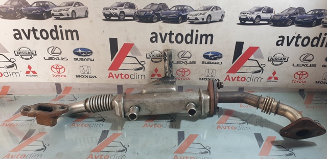 14735EB300 NISSAN Радиатор системы EGR купить в Тернополь
