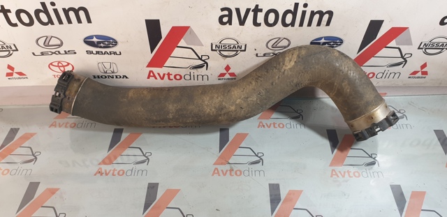 1505A567 MITSUBISHI Патрубок интеркулера купить в Ирпень