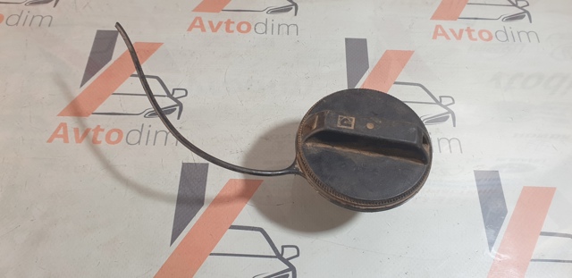 1725179921 NISSAN Крышка бензобака купить в Хмельницкий