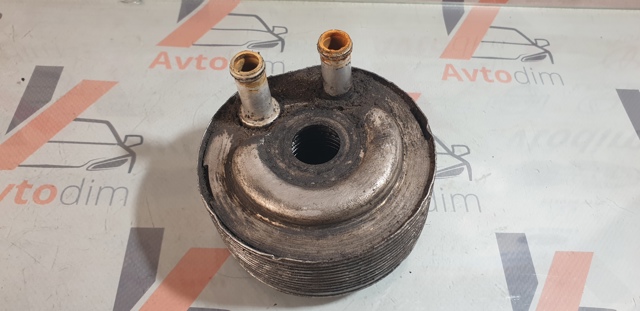 213055M301 NISSAN Радиатор масляный (холодильник), под фильтром купить в Сумы