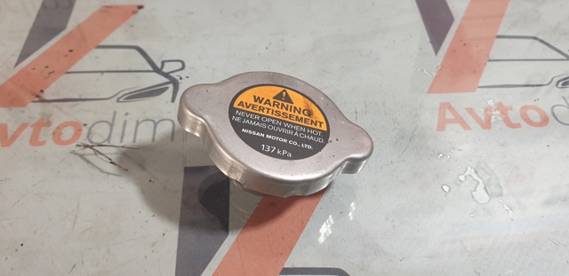 214308995A NISSAN купить в Тернополь