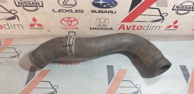 Шланг радиатора, нижний 215038H800 NISSAN