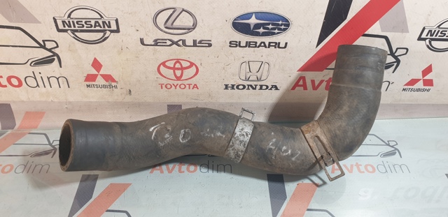 215038H800 NISSAN Нижний шлаг радиатора охлаждения купить в Житомир