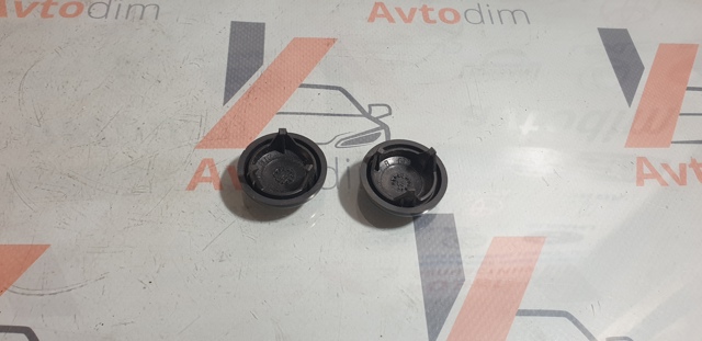 NISSAN 28882AU300 Заглушка гайки крепления поводка переднего дворника в наличии Черкассы