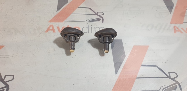 289318H910 NISSAN Форсунка омывателя стекла лобового левая купить в Харьков