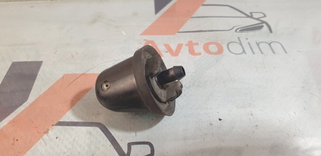289700W000 NISSAN Форсунка омывателя заднего стекла купить в Черновцы