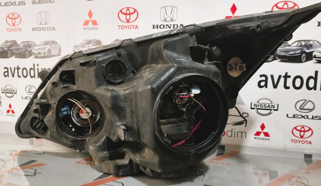 33101SWWG01 HONDA Фара правая купить в Хмельницкий