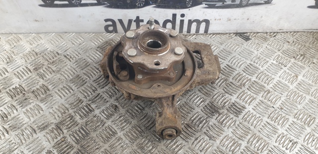 Цапфа (поворотный кулак) задний левый 43019EB300 NISSAN