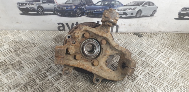 43019EB300 NISSAN Цапфа задняя левая купить в Ирпень