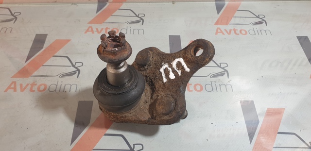 TOYOTA 4333049095 Шаровая опора нижняя в наличии Украина