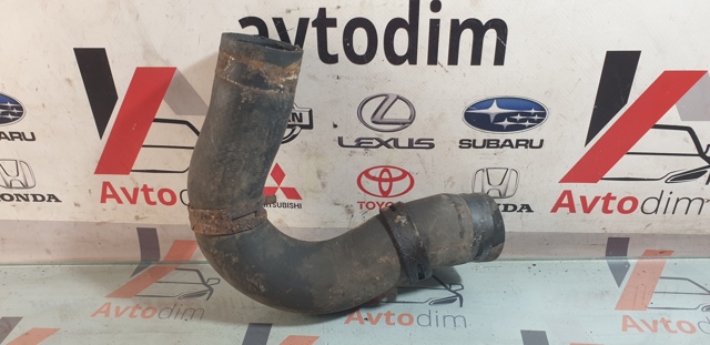 45161AG100 SUBARU Шланг (патрубок) радиатора охлаждения нижний купить в Кривой Рог