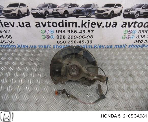 Кулак поворотный передний правый 51210SCA981 HONDA