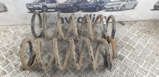 Пружина задняя 55020EB31A NISSAN
