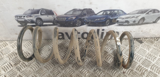 NISSAN 55020EB31A Задняя пружина в наличии Ирпень