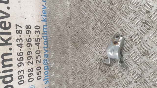 Петля двери задней левой 60470AG0309P SUBARU