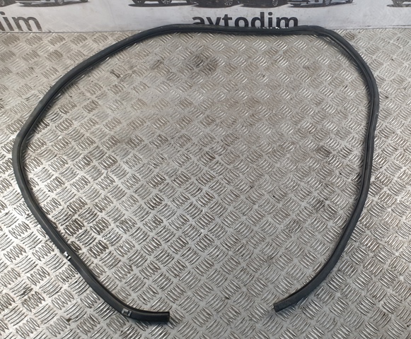 Уплотнитель двери передней, правой (на кузове) 6231153030 TOYOTA