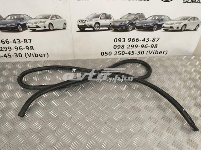 6231253030 Уплотнитель двери передней левой (на кузове) купить Ровно