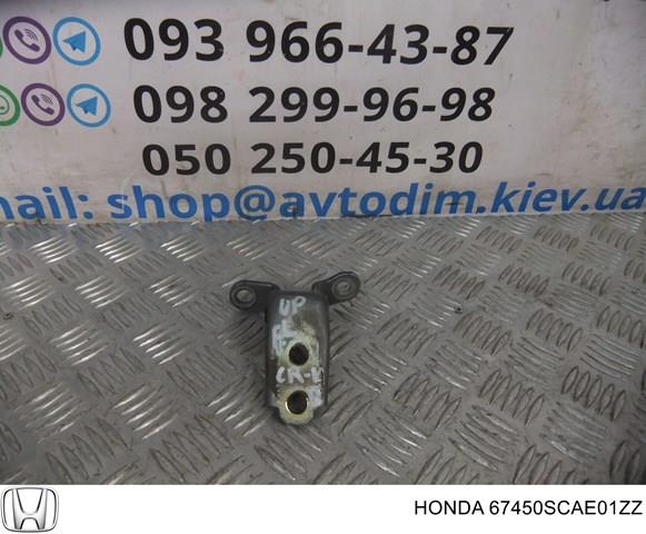 67450SCAE01ZZ Петля двери передней левой купить Харьков