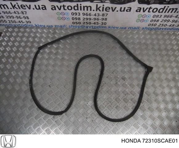 72310SCAE01 купить Киев