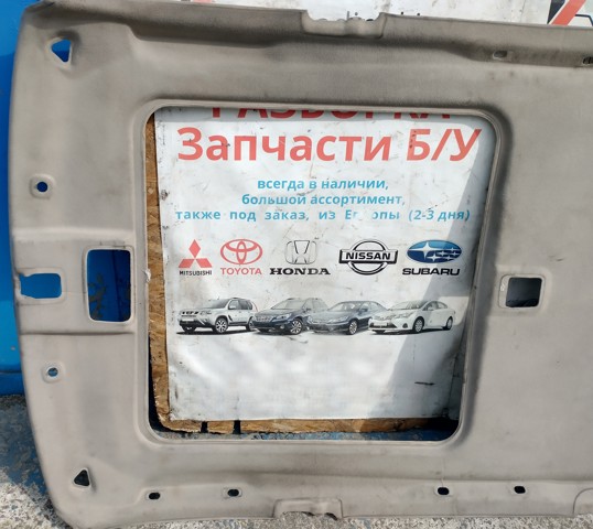 NISSAN 739109H701 Обивка крыши (потолок) в наличии Кривой Рог