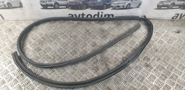 769228H300 NISSAN Уплотнитель двери передней левой (на кузове) купить в Ирпень