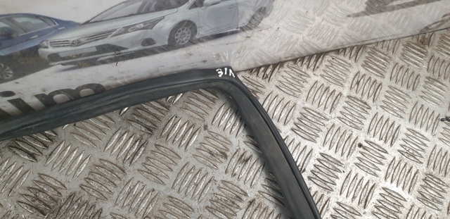 769248H300 NISSAN Уплотнитель двери задней левой (на кузове) купить в Чернигов