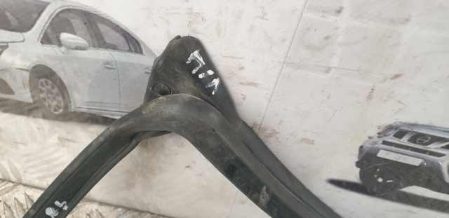 808318H300 NISSAN Уплотнитель двери передней левой (на двери) купить в Киев