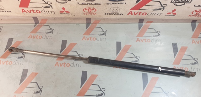 Амортизатор для багажника газовый 90450EQ325 NISSAN