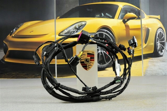 PORSCHE 95B971095AF в наличии Ужгород