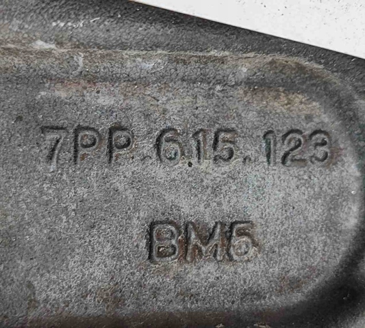971615123BK PORSCHE купить в Черновцы