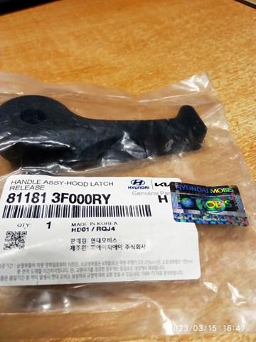 811813F000RY HYUNDAI Ручка открывания капота купить в Ирпень