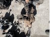 Коробка передач в сборе с главной передачей и дифференциалом Volkswagen Tiguan 1